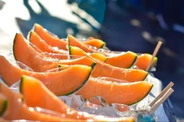 Yubari melon