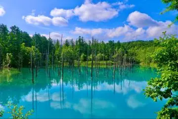 Shirogane Pond