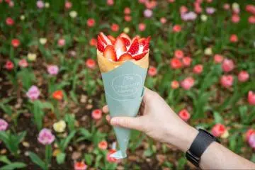 A strawberry and whipped cream crepe