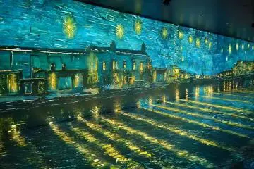 Infinite Horizon: Starry Night Over the Rhône