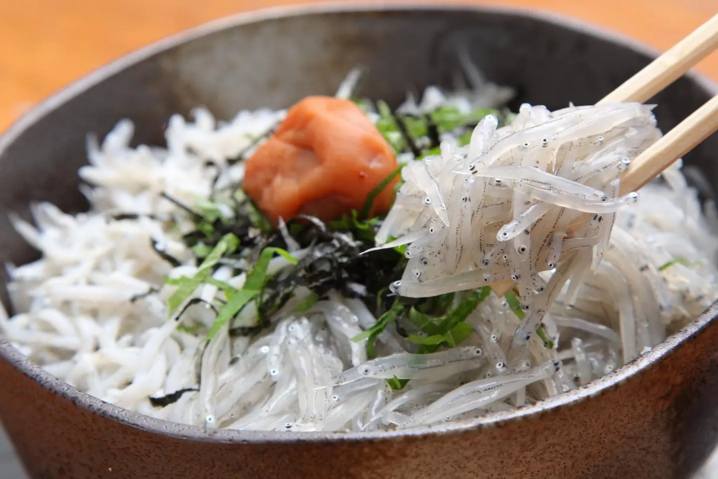 เครดิตรูปภาพ: Wakayama City Hall Tourism Division via @Press