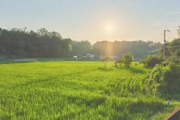 Laf Denen: The Ultimate Satoyama Escape 