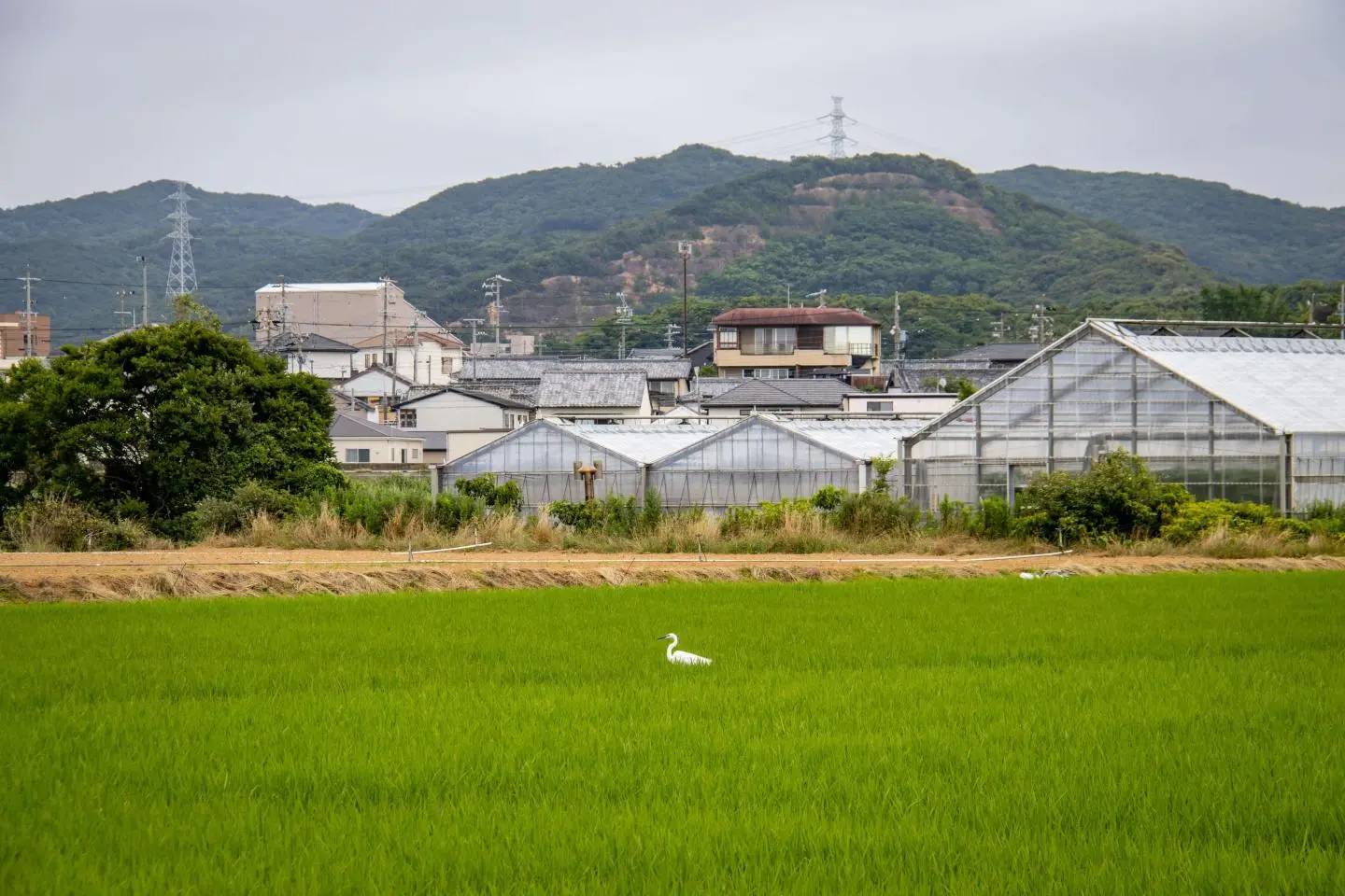 Atami Landscape
