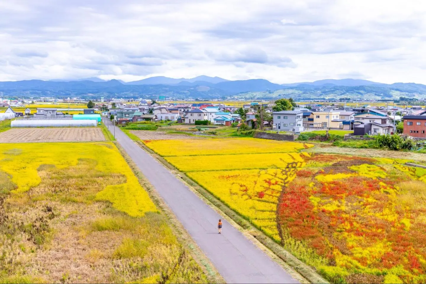 Photo:  Inakadate, Aomori – p2n Media / Shutterstock.com