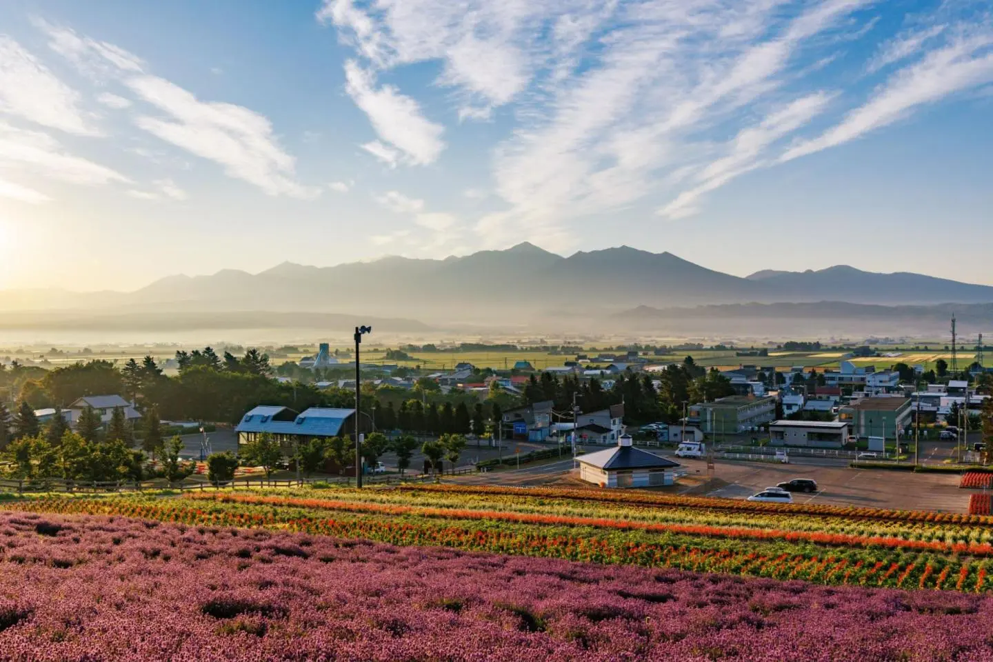 Photo:  Furano, Hokkaido – makieni / Shutterstock.com