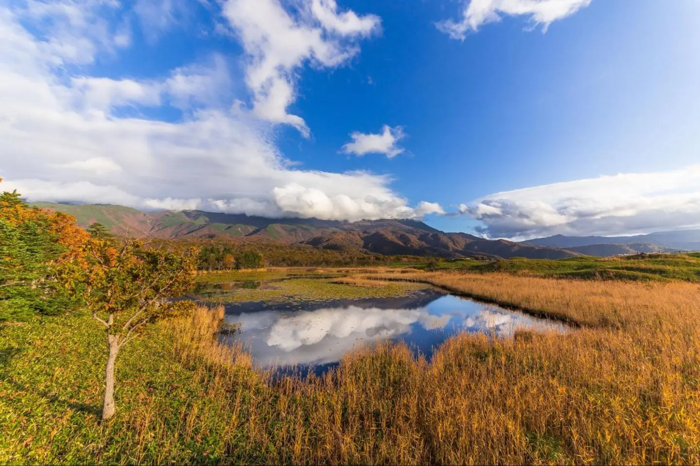 Photo:  Fall in Hokkaido – Makafushigi / Shutterstock.com