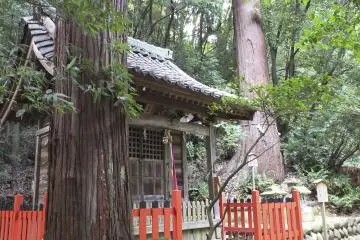 Gallery image