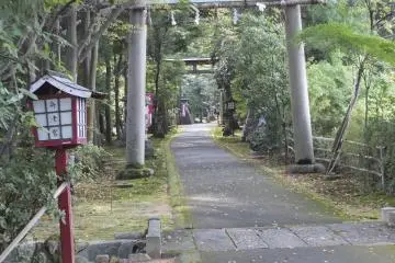 Gallery image