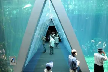 Fukushima Aquamarine