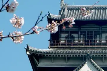 Exploring Hiroshima Castle