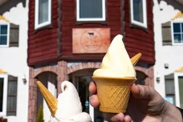 Gelato from Tokachino Fromages (Photo: Fabien Recoquille)