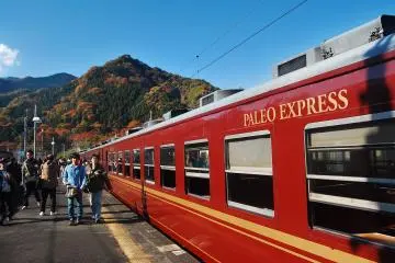 Journey Through Time: Paleo Express