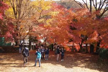 Fall at Mount Takao 