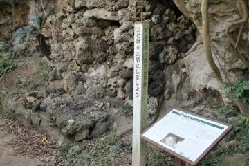 Gallery image