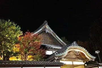 Night Lights at Tatemono-en
