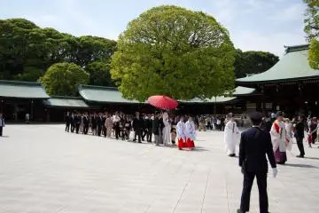 Traditional Japanese Shinto Wedding