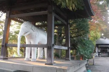 Kannon-ji Temple