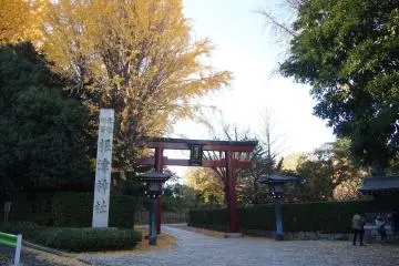 Gallery image