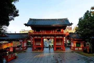 Gallery image