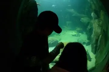 Viewing the tanks (Photo: <a href="https://www.flickr.com/photos/hiroshimagab/6219642568/" target="_blank" rel="noreferrer noopener nofollow">jj-walsh</a> / <a href="https://creativecommons.org/licenses/by-nc-sa/2.0/" target="_blank" rel="noreferrer noopener nofollow">CC BY-NC-SA 2.0</a>)