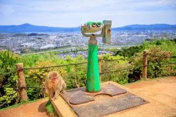 Arashiyama views