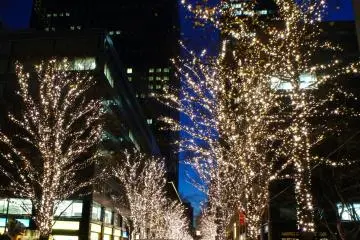 A Million LED Lights in Marunouchi