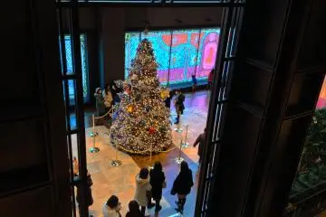 Gallery image