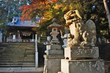 Gallery image