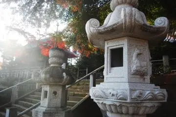 Gallery image