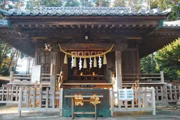 Gallery image