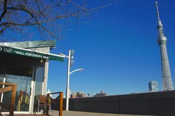 Gallery image