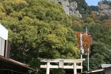 Gallery image