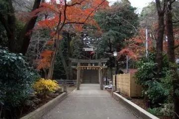 Gallery image