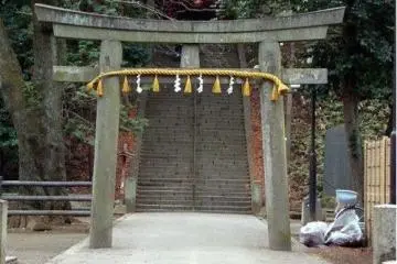 Gallery image