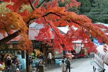 Below the temple is a cute little collection of shops (Photo: Bret de Colebi)