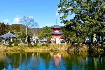 Kyoto Osawa-no-ike Pond