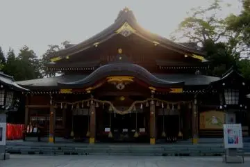 Gallery image