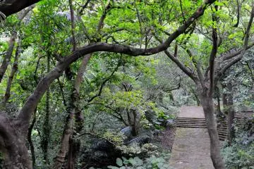 Okinawa's Sueyoshi Koen