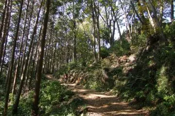 Hiwada-Takasashi-Monomi Mtn Trail