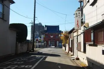 Gallery image