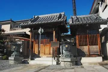 Gallery image
