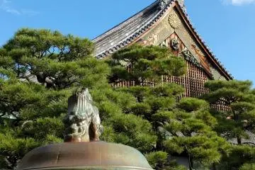 The Beauty of Nijo-jo Castle - 3