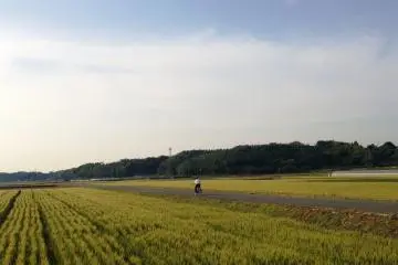Cycling in Mifune