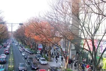 Free Wi-Fi in Upscale Tokyo District