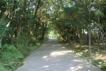 Chùa Akishino