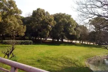 The Kofun is next to Daisen Park in Mozu Sakai City (Photo: <a href="http://www.flickr.com/photos/simatani/3372206112/in/photolist-68ZroG-c93pY5-c8nT3m-c8Y3SS-c8Qsxs-c8TaKY-c8tHrA-c8umvf-c8nTw1-c8rd5L-c8Qg67-c8nTBy-c917F9-c8P8oG-c8nT9W-c8rdaw-c8vw53-c935Cj-c8rd1b-c8Twpd-c8Rody-c8rdeW-c8R6ty-c8Uodd-c8QN49-c8W5GS-c8nTp9-8cnj" target="_blank" rel="noreferrer noopener nofollow">Kazuyuki Shimatani</a>)