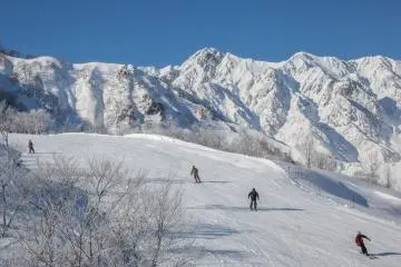 Having fun on the slopes. (Photo: <a href="https://en.japantravel.com/profile/ben-beechey/434" target="_blank" rel="noreferrer noopener nofollow">Ben Beech </a> / JT)