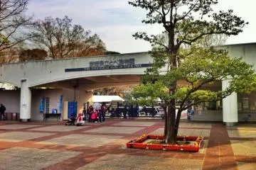 Gallery image