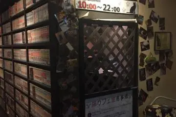 Media (and Cat) Cafe Popeye, Numazu [結束]