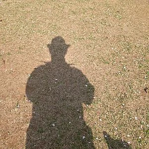 Reynald Ventura